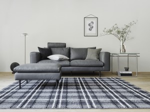 BASIS-SOFA_MAIN